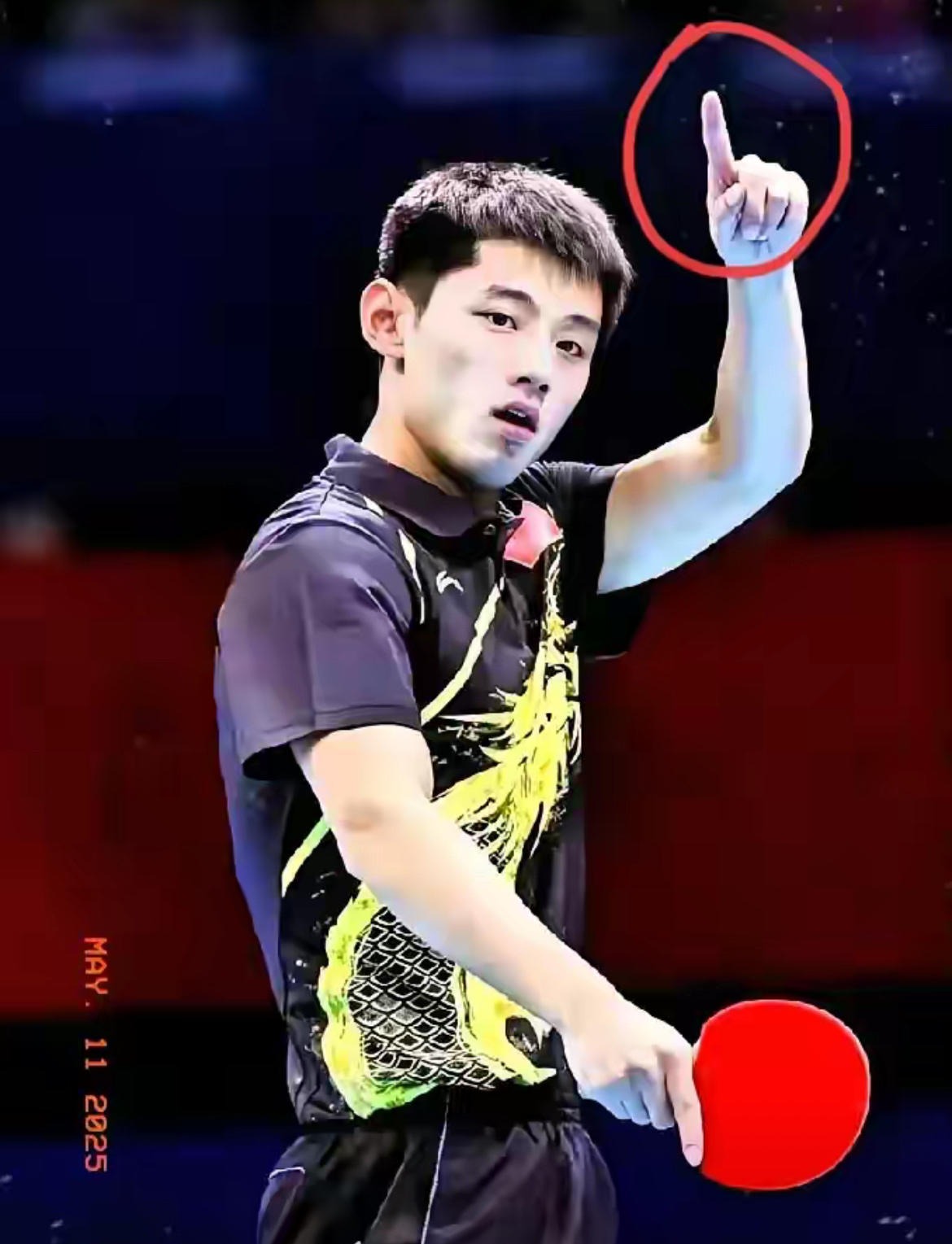 比利时乒乓球队绝杀日本乒乓球队,张继科制霸全场 比利时乒乓球队绝杀日本乒乓球队,张继科制霸全场