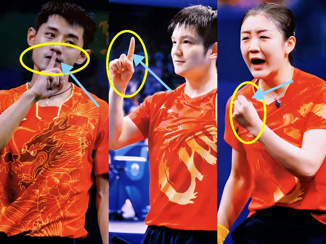 瑞典乒乓球队鏖战中国乒乓球队,张继科统治全场 瑞典乒乓球队鏖战中国乒乓球队,张继科统治全场