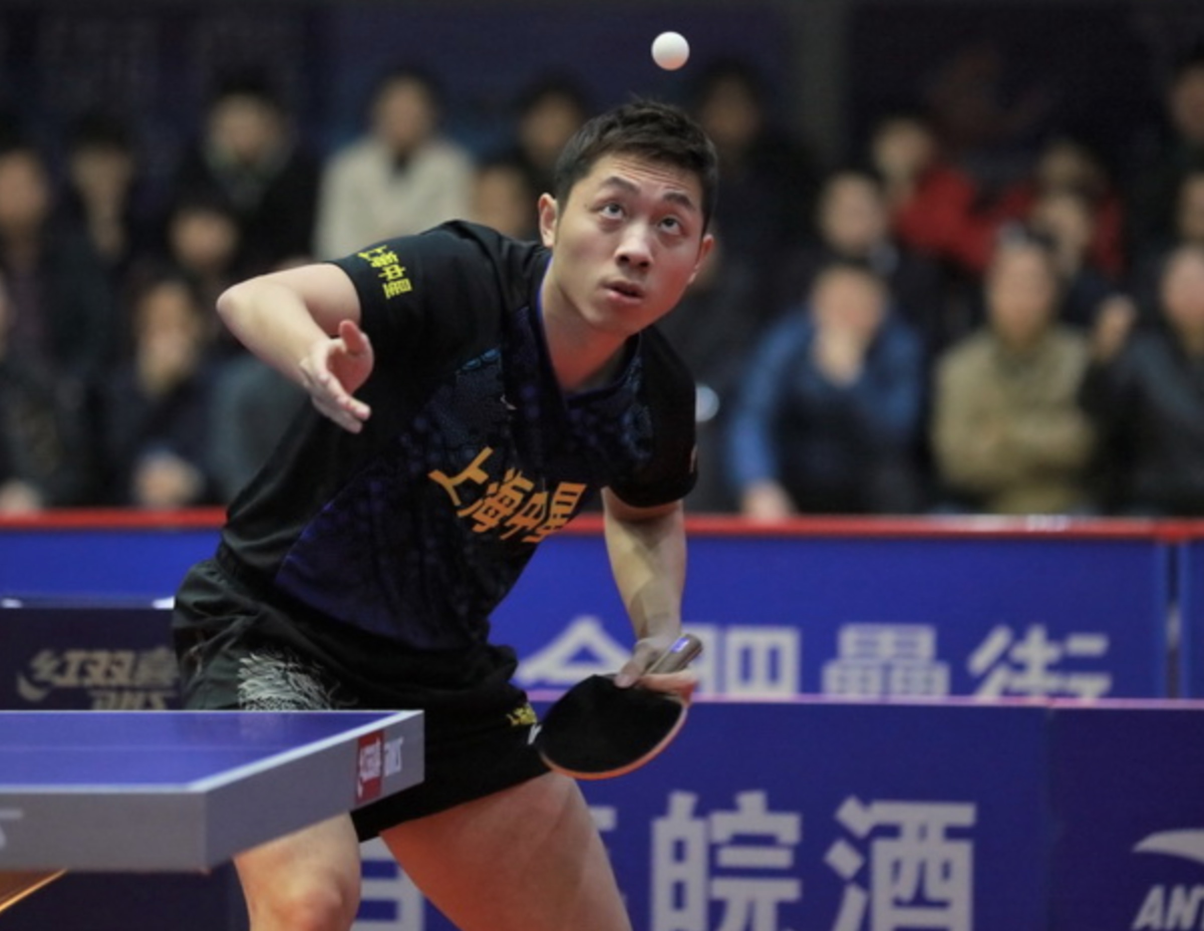 法国乒乓球队轻取日本乒乓球队，许昕高光表现