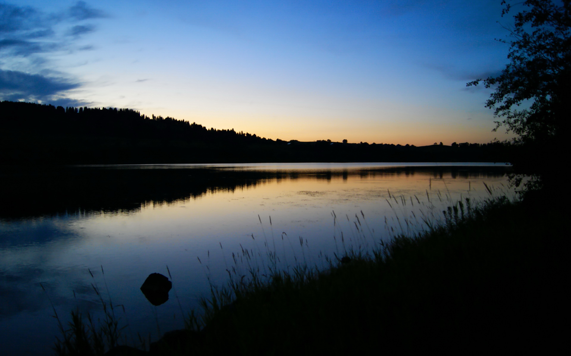 逆转基因，当我们沸腾时，血液里流着什么？