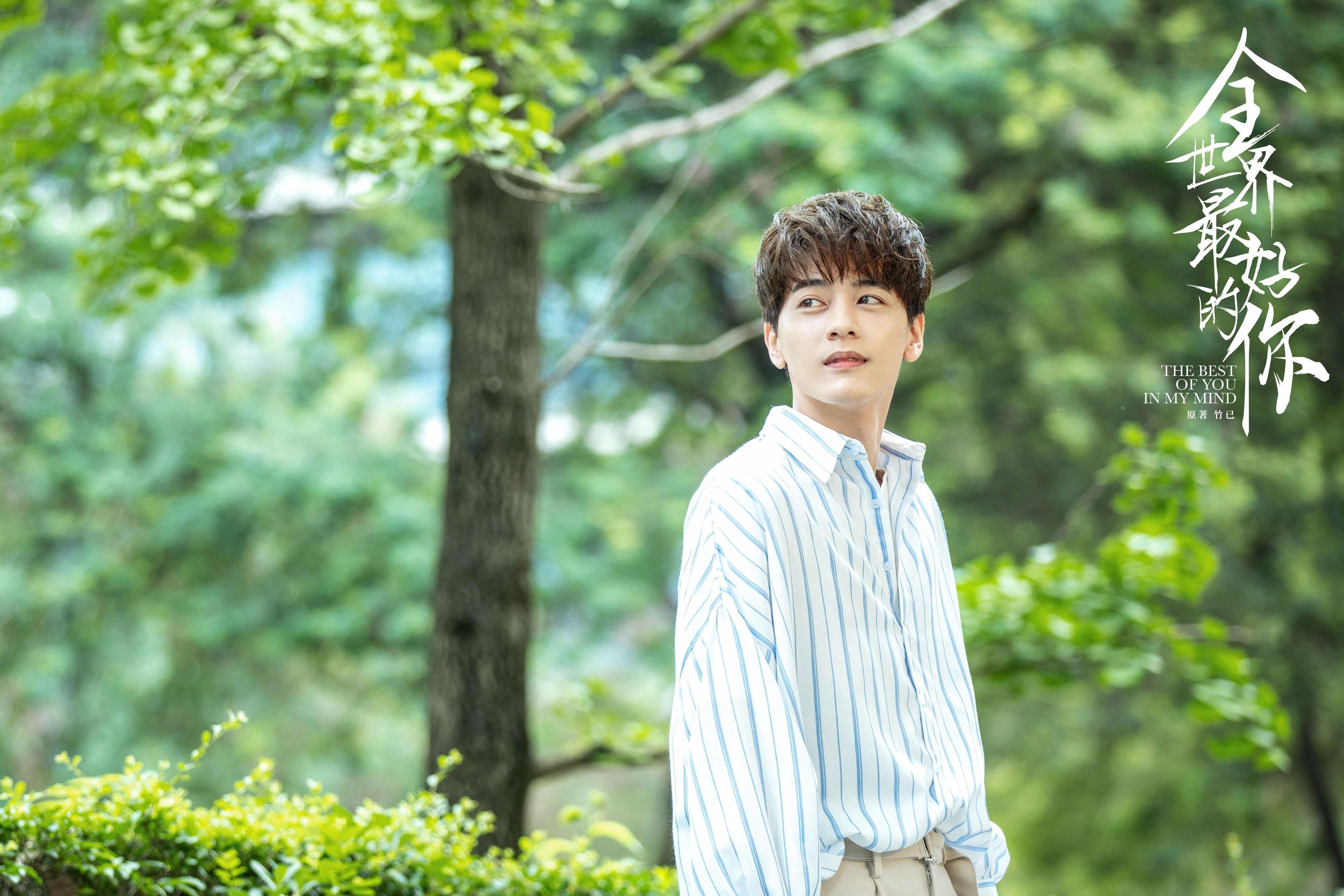 骑士的铁血与利拉德的暗影，当团队逆转遇见个人终极时刻