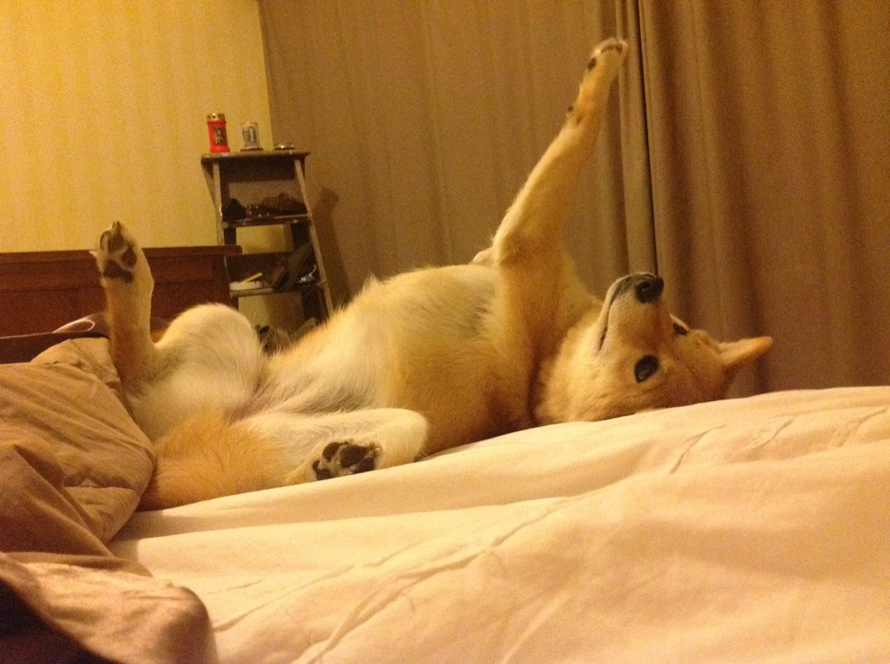 黑星节奏与自由女神的叹息，一场足球赛的地缘政治寓言