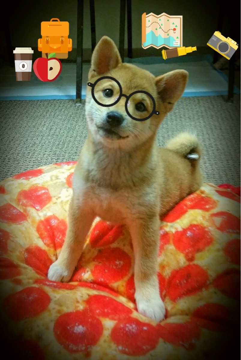 跨越阿尔卑斯的咆哮,努涅斯一击刺穿马赛心脏