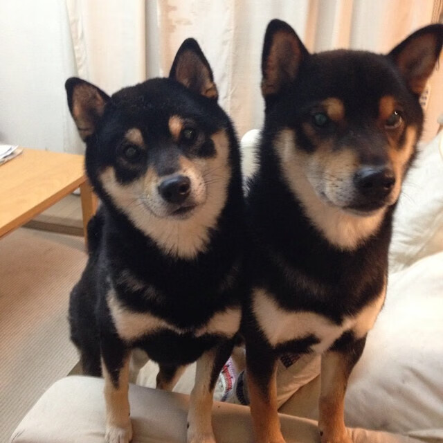 终局之战，楚阿梅尼攻防两端统治下的英超王座之夜