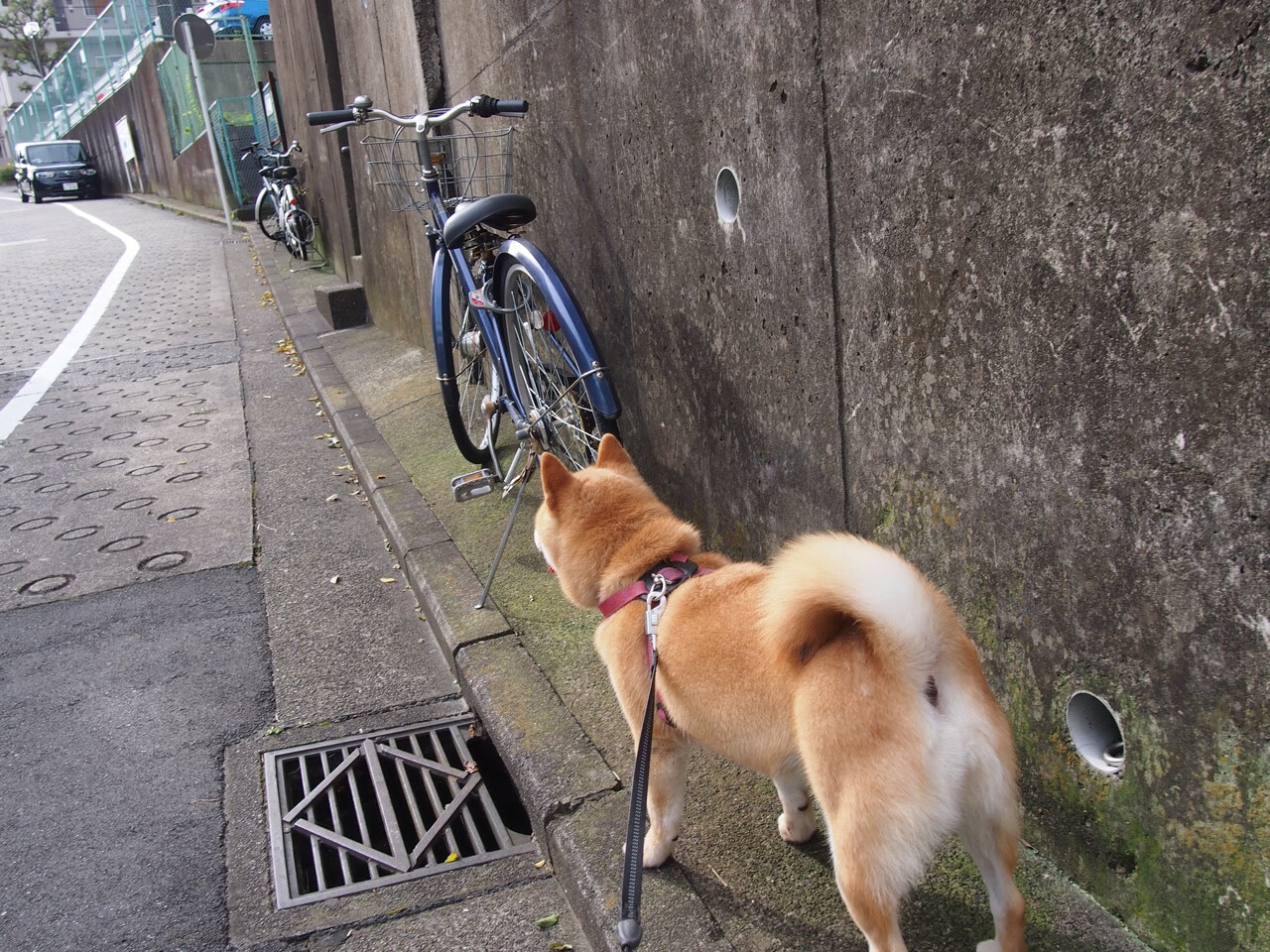 车手头盔上的三分雨，当F1年度焦点战遇上勇士式一波流