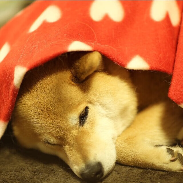 车手头盔上的三分雨，当F1年度焦点战遇上勇士式一波流