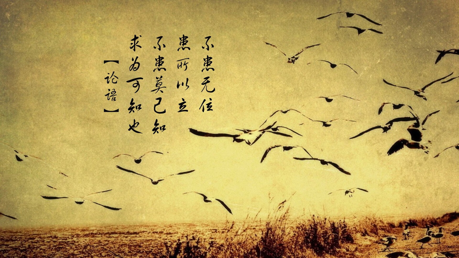 詹姆斯率太阳决战上海，沪上铁骑编织天罗地网