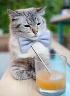 烈焰之舞,莱奥如何用三记惊雷,将季后赛之夜烧成永恒灰烬