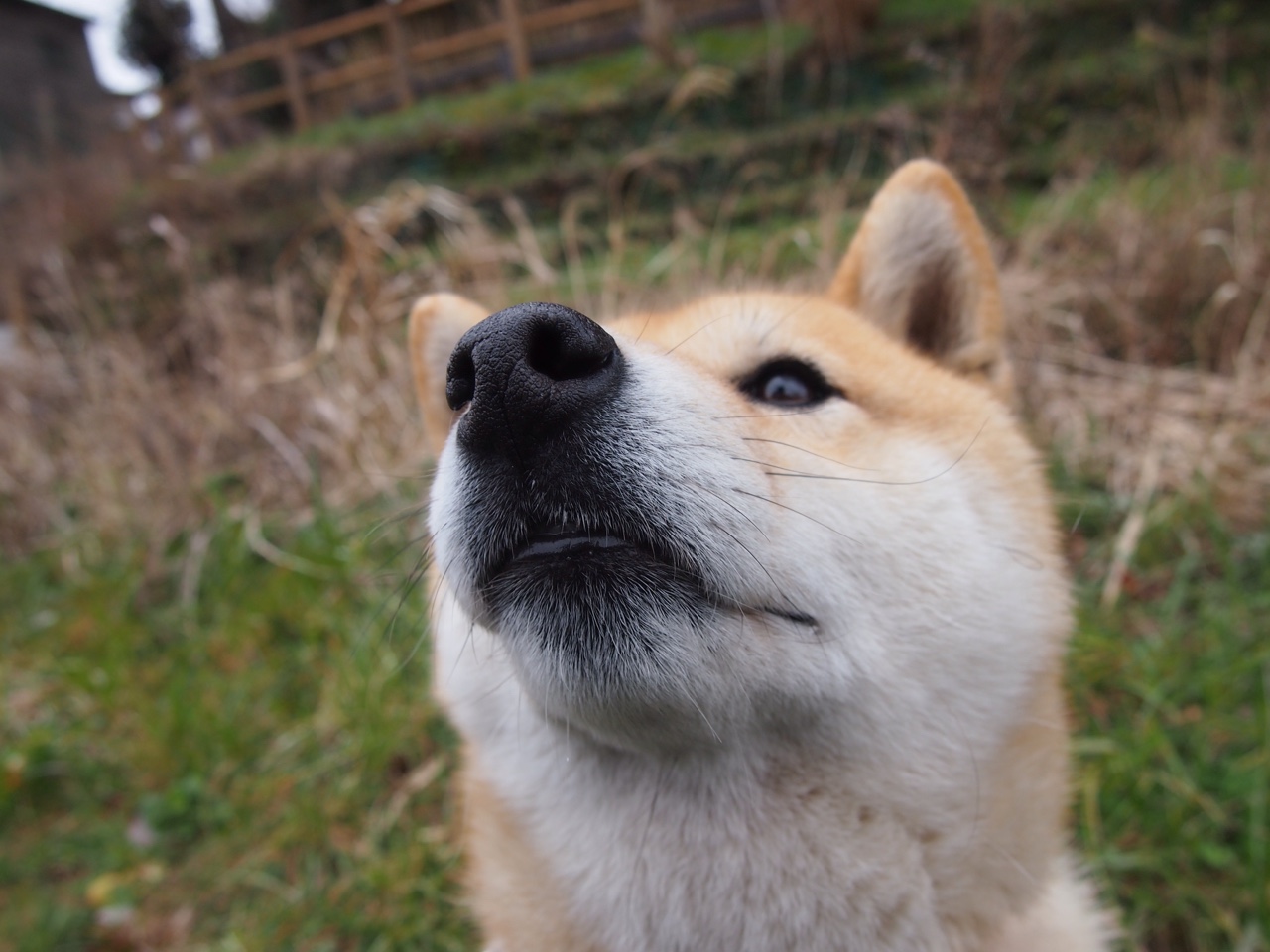 白衣不落,38岁的莫德里奇如何让时光在伯纳乌静止