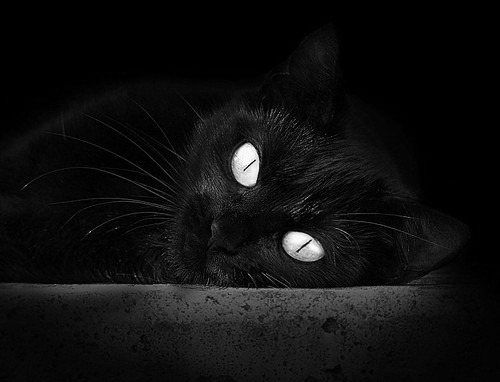 世界篮球排名巅峰对决,吉林队鏖战雄鹿,夺关键胜利登顶争冠路