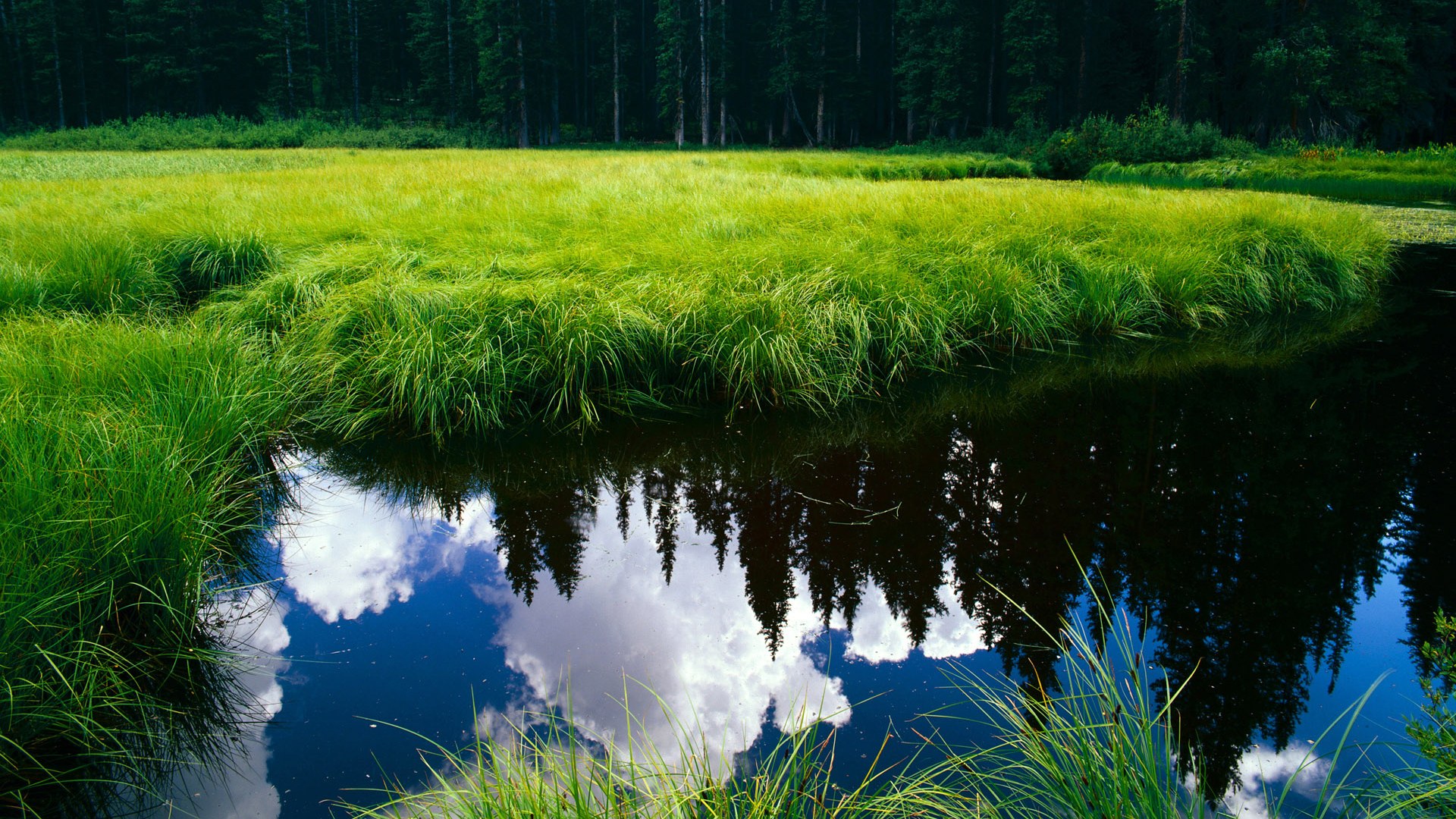 萨拉赫独舞梦剧场,中东金元难掩法老神光