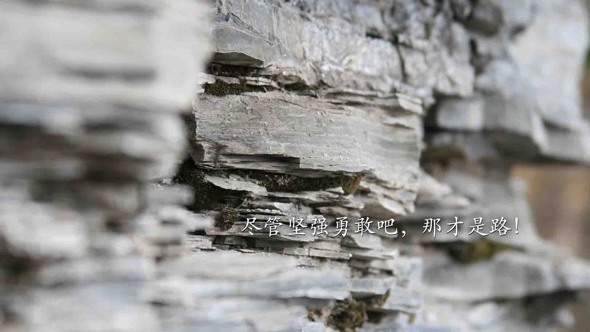 绿茵场上的另类叫牌,当意甲焦点战遭遇安哥拉决胜局