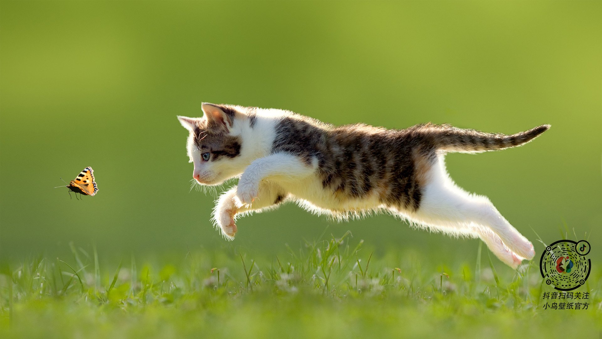 大卫的子弹，戈麦斯一箭穿心，哥斯达黎加无名之师掀翻蓝黑巨人