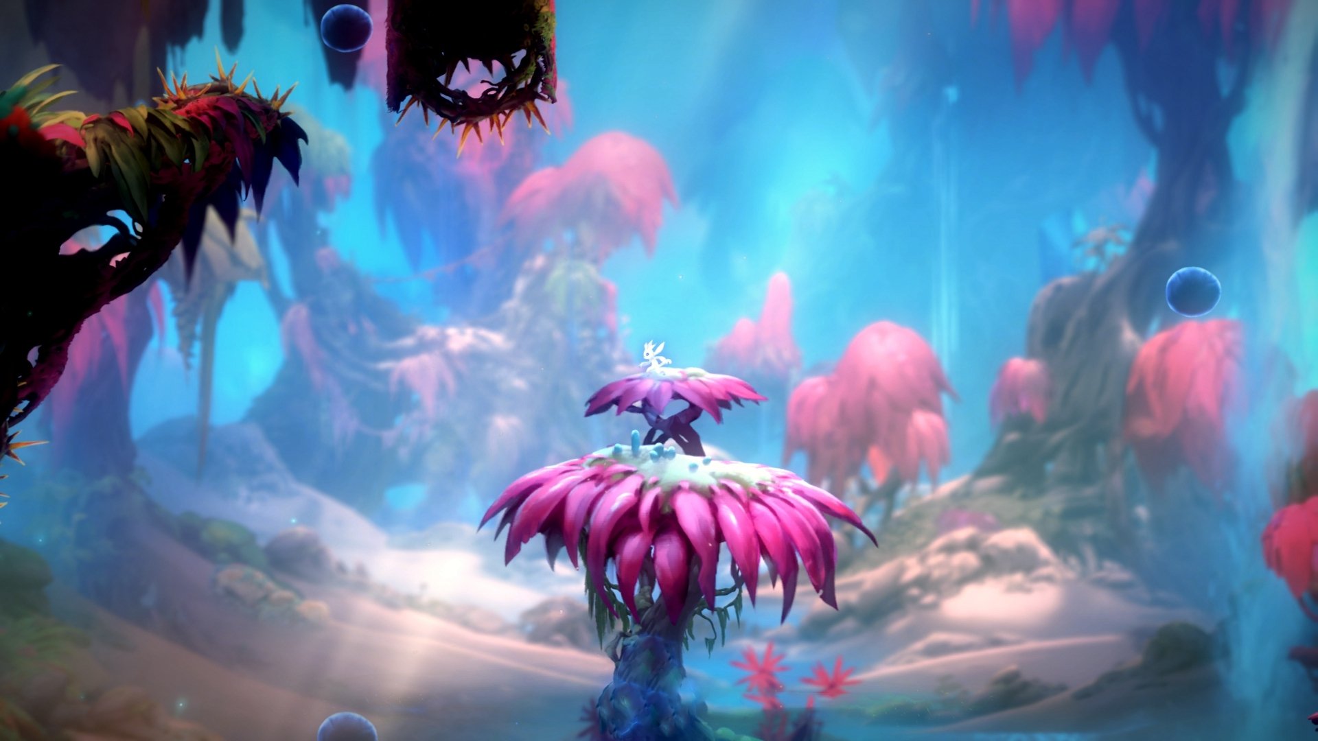 大卫的子弹，戈麦斯一箭穿心，哥斯达黎加无名之师掀翻蓝黑巨人