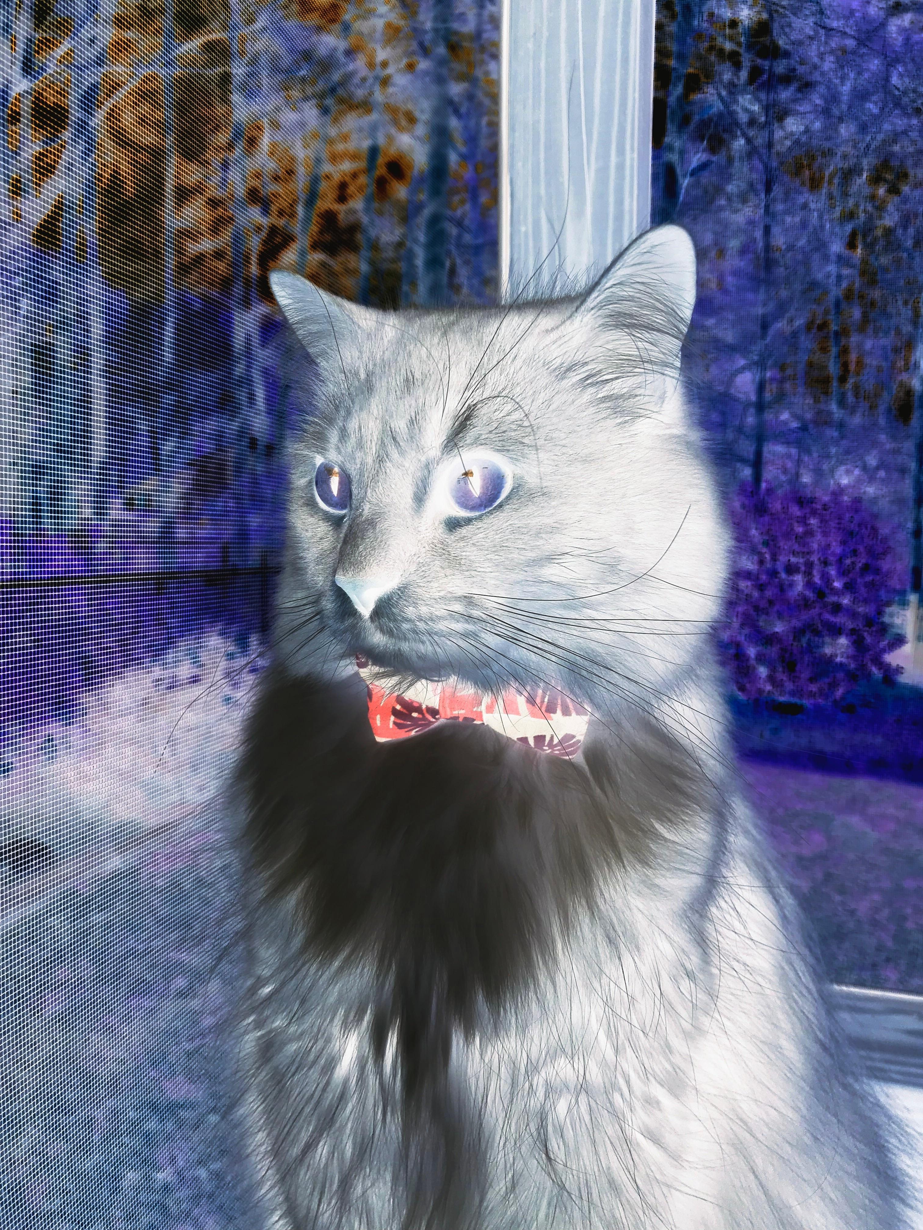 孤舟渡江，猛龙过境，当范弗利特化身船长制霸山西江湖