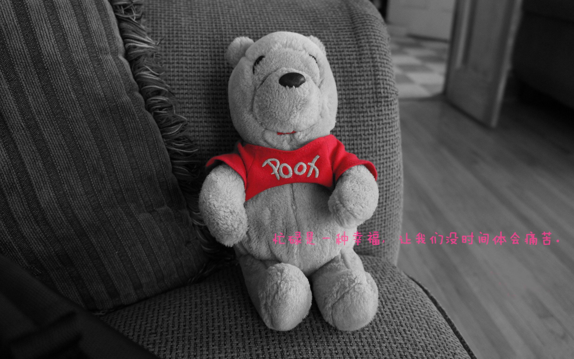 当南粤风暴遭遇北境狼群，福克斯在唯一跨联赛舞台写下传奇