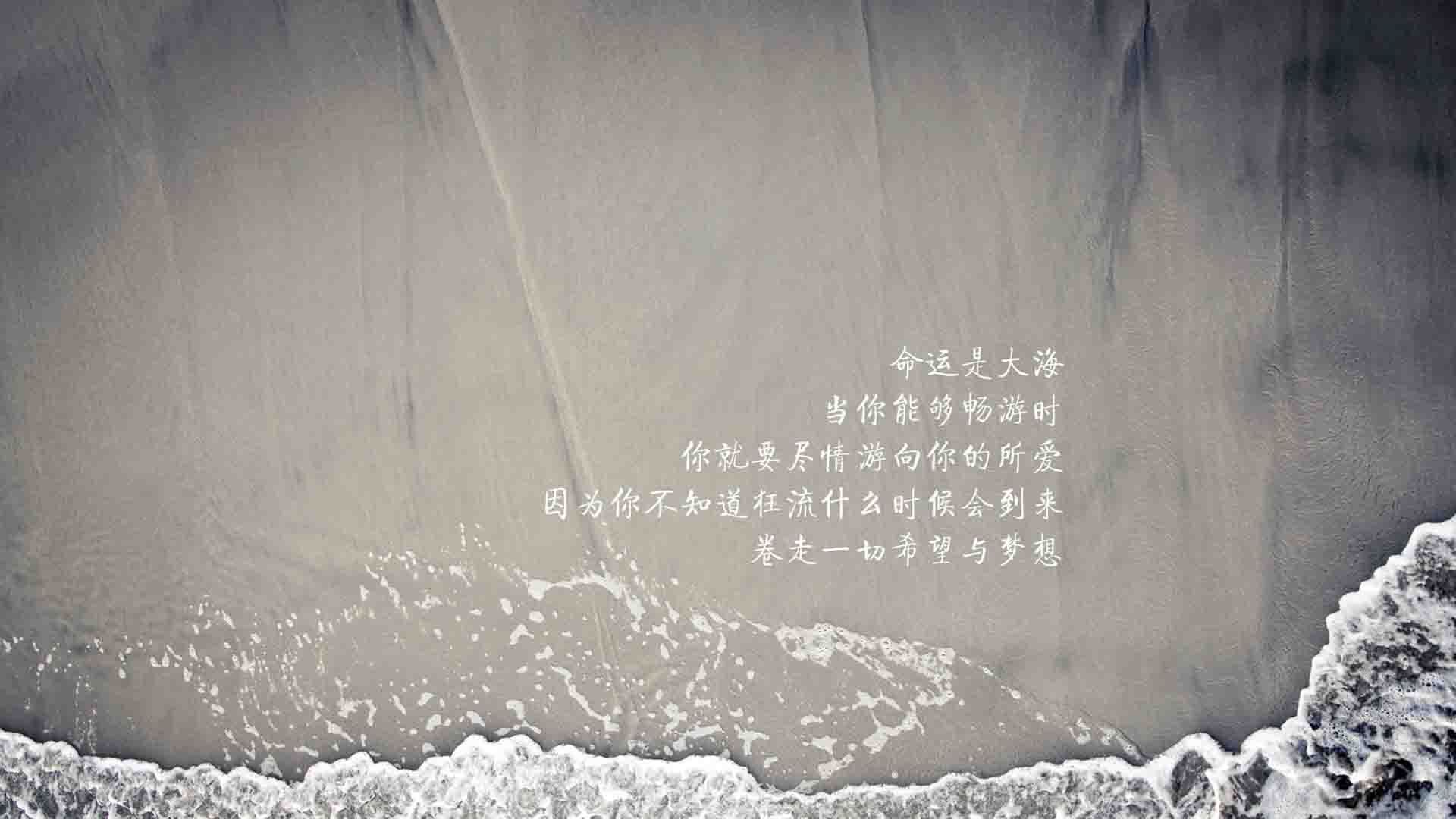 命运的交织，2026世界杯D组，当橙衣军团遇上罗马尼亚，苏亚雷斯用最后一次起舞改写历史