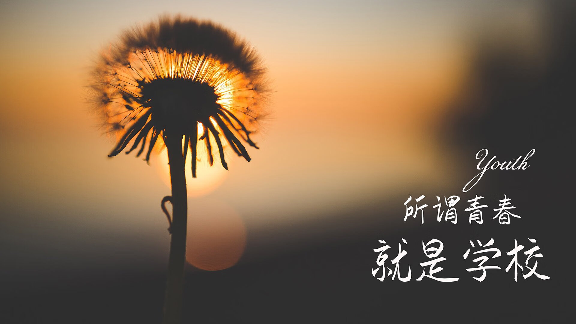 基多雄鹰折翼华沙铁骑，萨内一剑封喉，厄瓜多尔控场制胜颠覆B组格局