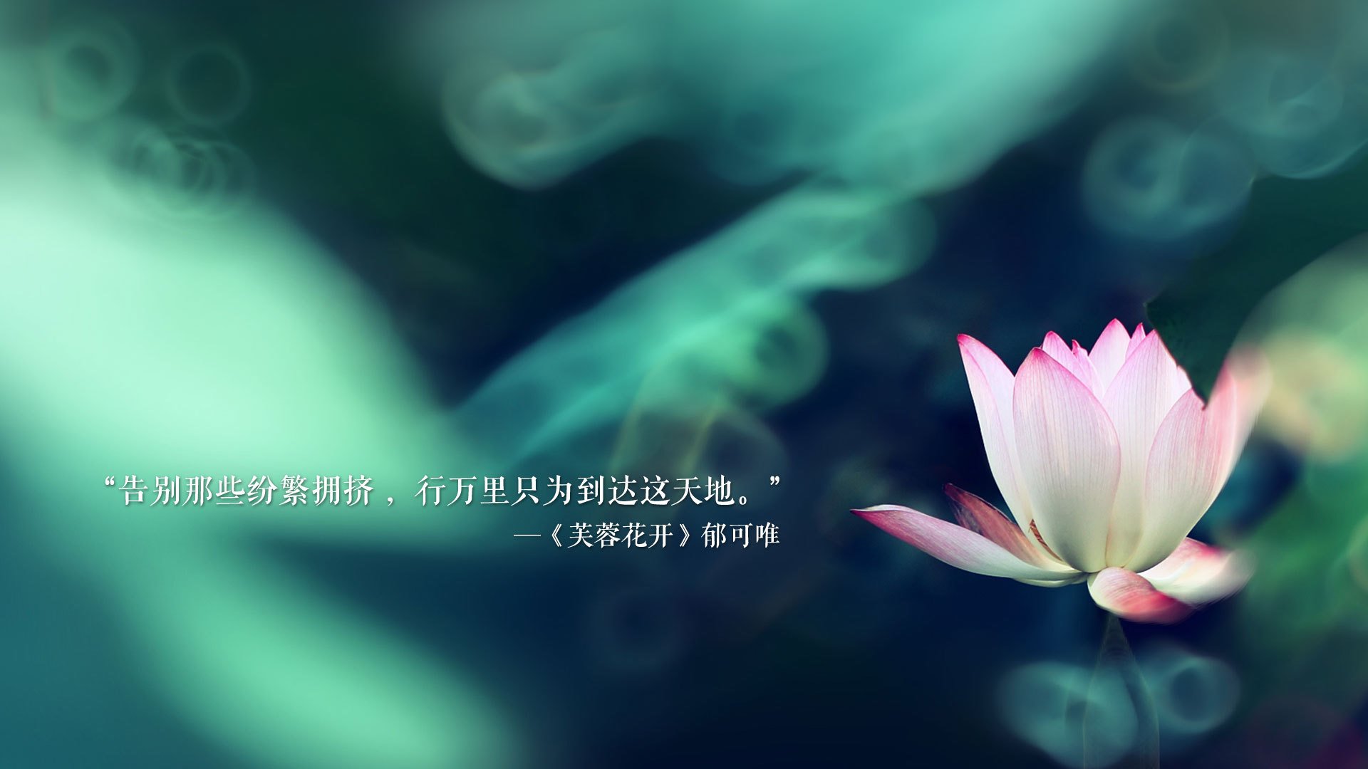 德容铁腕治军，美国队以唯一之名完胜斯洛伐克，2026世界杯H组关键战的战术启示录
