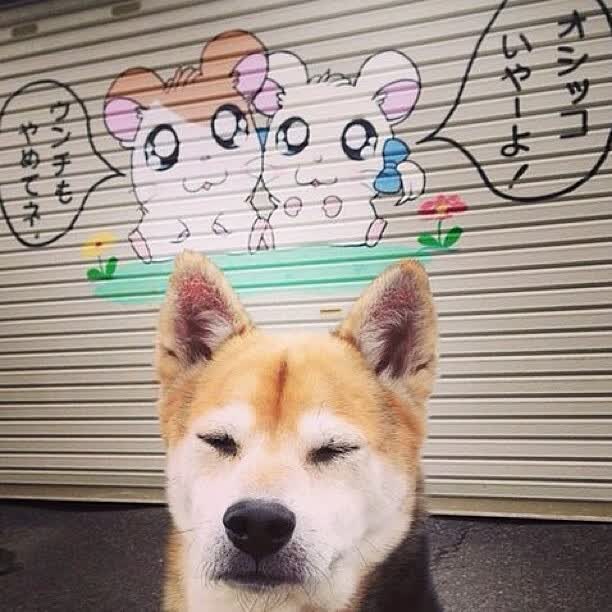 （候选）