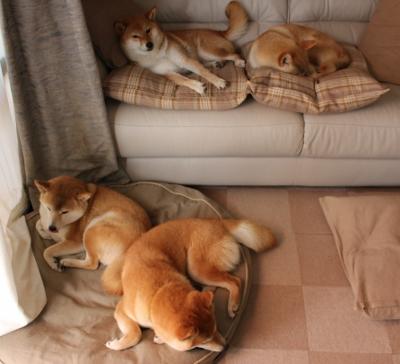 极夜与赤阳的碰撞，当北欧海盗撕裂南亚防线，罗德里戈在极光下加冕